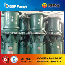 Submersible Propeller Pump with Axial-Flow/Mixed-Flow